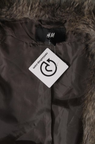 Női kabát H&M, Méret L, Szín Sokszínű, Ár 2 354 Ft