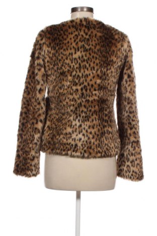 Γυναικείο παλτό Janina, Μέγεθος XS, Χρώμα Πολύχρωμο, Τιμή 33,10 €
