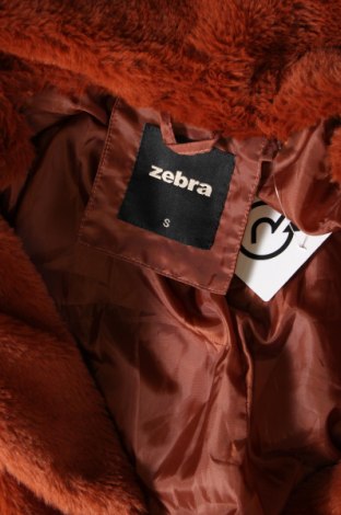 Γυναικείο παλτό Zebra, Μέγεθος S, Χρώμα Καφέ, Τιμή 9,93 €