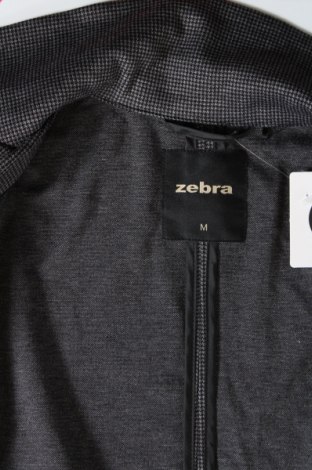 Dámsky kabát  Zebra, Veľkosť M, Farba Sivá, Cena  19,60 €