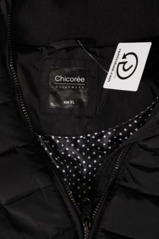 Damenjacke Chicoree, Größe XL, Farbe Schwarz, Preis € 24,22