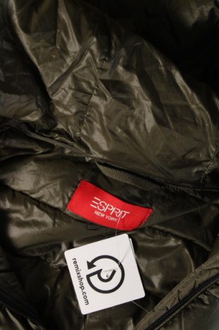 Γυναικείο μπουφάν Esprit, Μέγεθος M, Χρώμα Πράσινο, Τιμή 82,99 €
