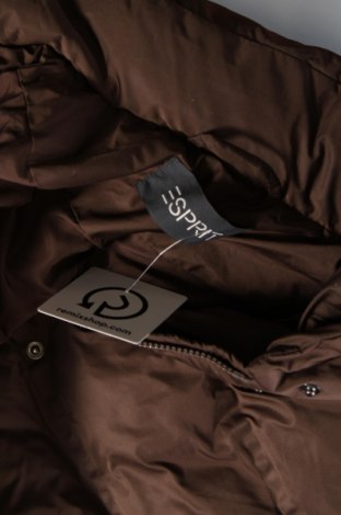 Dámska bunda  Esprit, Veľkosť L, Farba Hnedá, Cena  82,99 €