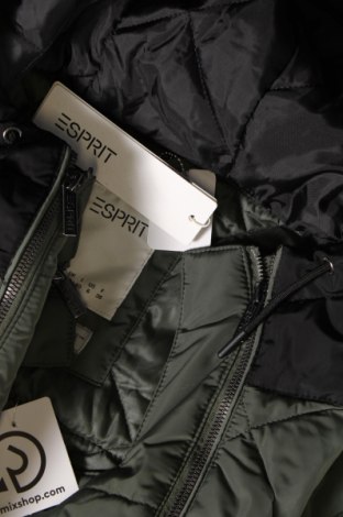 Γυναικείο μπουφάν Esprit, Μέγεθος S, Χρώμα Πράσινο, Τιμή 82,99 €