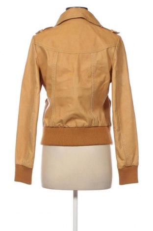 Damenjacke H&M, Größe M, Farbe Gelb, Preis € 16,37