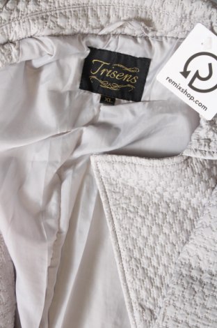 Γυναικείο μπουφάν Trisens, Μέγεθος XL, Χρώμα Γκρί, Τιμή 27,84 €