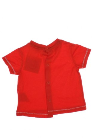 Kinder Shirt Fagottino By Oviesse, Größe 6-9m/ 68-74 cm, Farbe Rot, Preis 4,92 €