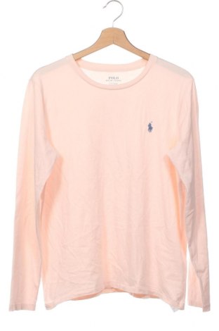 Γυναικεία μπλούζα Polo By Ralph Lauren, Μέγεθος L, Χρώμα Ρόζ , Τιμή 33,37 €