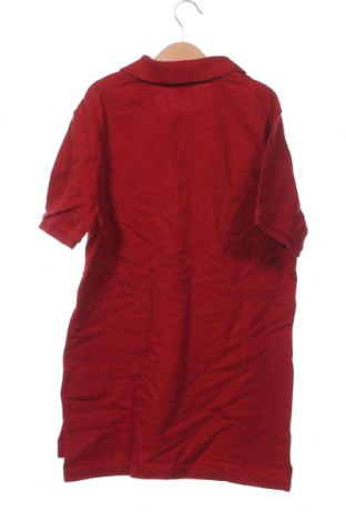 Παιδικό μπλουζάκι Polo By Ralph Lauren, Μέγεθος 14-15y/ 168-170 εκ., Χρώμα Κόκκινο, Τιμή 31,40 €
