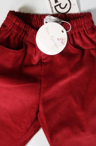 Pantaloni de catifea reiată, pentru copii Fina Ejerique, Mărime 2-3y/ 98-104 cm, Culoare Roșu, Preț 69,05 Lei