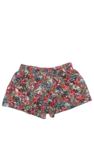 Pantaloni scurți pentru copii Bonnet A Pompon, Mărime 3-6m/ 62-68 cm, Culoare Multicolor, Preț 18,55 Lei