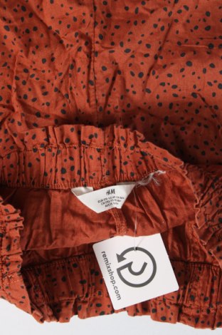 Παιδικό κοντό παντελόνι H&M, Μέγεθος 14-15y/ 168-170 εκ., Χρώμα Πολύχρωμο, Τιμή 8,66 €