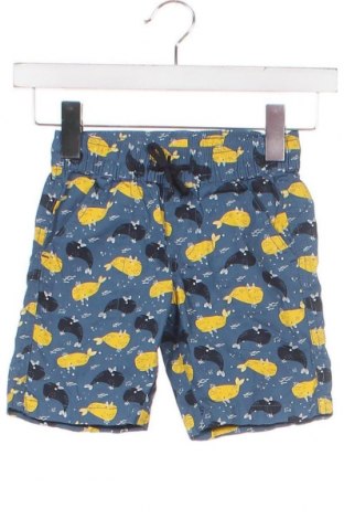 Pantaloni scurți pentru copii Lupilu, Mărime 4-5y/ 110-116 cm, Culoare Multicolor, Preț 33,67 Lei