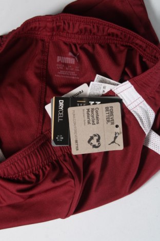 Pantaloni scurți pentru copii PUMA, Mărime 13-14y/ 164-168 cm, Culoare Roșu, Preț 72,97 Lei