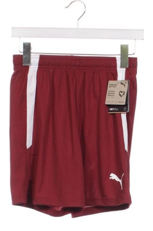 Детски къс панталон PUMA, Размер 13-14y/ 164-168 см, Цвят Червен, Цена 23,60 лв.