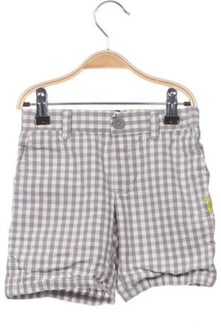 Pantaloni scurți pentru copii U.S. Polo Assn., Mărime 2-3y/ 98-104 cm, Culoare Multicolor, Preț 89,54 Lei