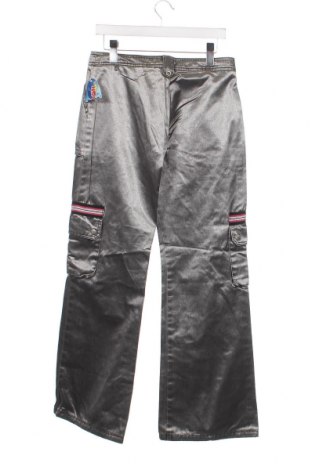 Детски панталон Crash One, Размер 15-18y/ 170-176 см, Цвят Сив, Цена 20,21 лв.