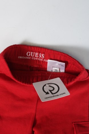 Kinder Sporthose Guess, Größe 3-6m/ 62-68 cm, Farbe Rot, Preis 35,57 €