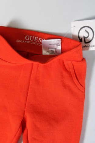 Παιδική κάτω φόρμα Guess, Μέγεθος 3-6m/ 62-68 εκ., Χρώμα Κόκκινο, Τιμή 35,57 €