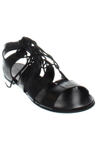 Espadrile Primadonna, Mărime 39, Culoare Negru, Preț 335,53 Lei