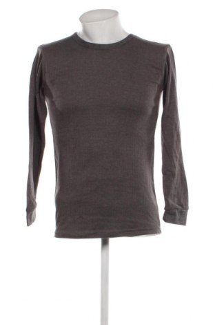 Ανδρική μπλούζα, Μέγεθος L, Χρώμα Γκρί, Τιμή 2,94 €