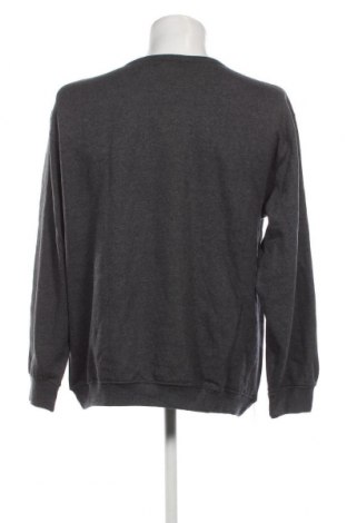 Ανδρική μπλούζα Accanto, Μέγεθος XL, Χρώμα Γκρί, Τιμή 11,75 €