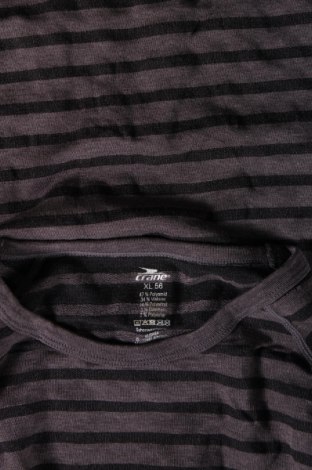 Ανδρική μπλούζα Crane, Μέγεθος XL, Χρώμα Γκρί, Τιμή 5,27 €