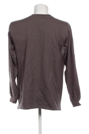Ανδρική μπλούζα DAVID, Μέγεθος L, Χρώμα Γκρί, Τιμή 2,94 €