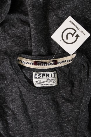 Ανδρική μπλούζα Esprit, Μέγεθος M, Χρώμα Γκρί, Τιμή 3,34 €