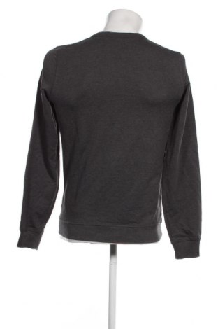 Ανδρική μπλούζα Identity, Μέγεθος S, Χρώμα Γκρί, Τιμή 4,82 €