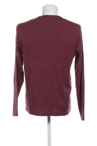 Ανδρική μπλούζα Manguun, Μέγεθος XL, Χρώμα Βιολετί, Τιμή 5,99 €