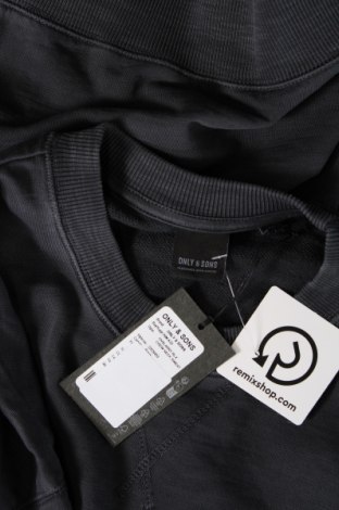 Ανδρική μπλούζα Only & Sons, Μέγεθος L, Χρώμα Μπλέ, Τιμή 6,55 €