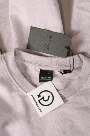 Ανδρική μπλούζα Only & Sons, Μέγεθος L, Χρώμα Βιολετί, Τιμή 7,03 €