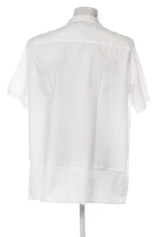 Ανδρικό πουκάμισο, Μέγεθος XXL, Χρώμα Λευκό, Τιμή 11,62 €