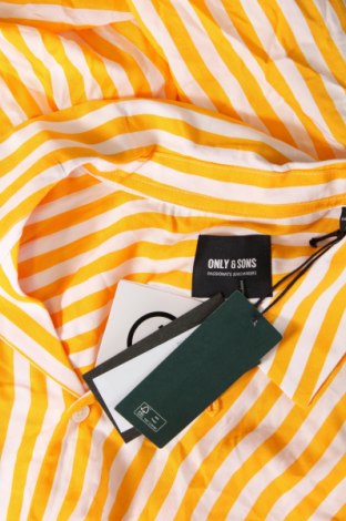 Ανδρικό πουκάμισο Only & Sons, Μέγεθος L, Χρώμα Πολύχρωμο, Τιμή 7,11 €