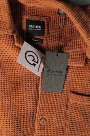 Ανδρικό πουκάμισο Only & Sons, Μέγεθος L, Χρώμα Καφέ, Τιμή 23,71 €