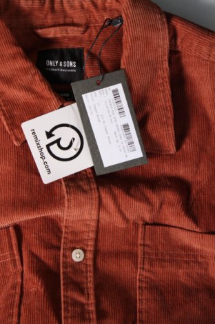 Ανδρικό πουκάμισο Only & Sons, Μέγεθος L, Χρώμα Καφέ, Τιμή 9,72 €