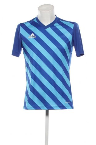 Herren T-Shirt Adidas, Größe M, Farbe Blau, Preis 29,90 €