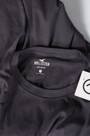 Ανδρικό t-shirt Hollister, Μέγεθος L, Χρώμα Γκρί, Τιμή 14,95 €