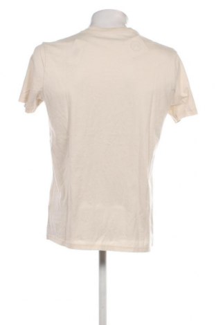 Herren T-Shirt Hollister, Größe L, Farbe Beige, Preis € 14,95