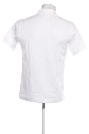 Herren T-Shirt Lacoste, Größe S, Farbe Weiß, Preis € 35,05
