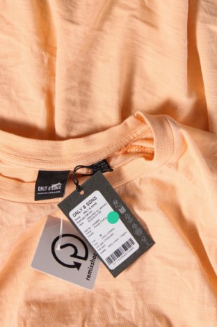 Herren T-Shirt Only & Sons, Größe M, Farbe Orange, Preis 10,82 €