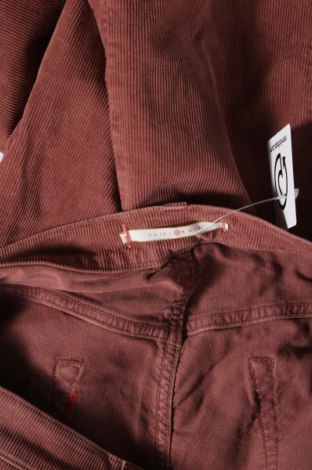 Мъжки джинси Shield, Размер M, Цвят Розов, Цена 4,20 лв.