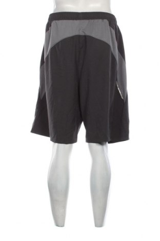 Ανδρικό κοντό παντελόνι, Μέγεθος 4XL, Χρώμα Γκρί, Τιμή 19,18 €