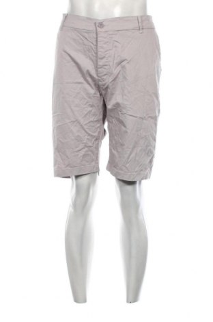 Ανδρικό κοντό παντελόνι, Μέγεθος XL, Χρώμα Γκρί, Τιμή 7,58 €