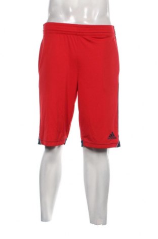 Ανδρικό κοντό παντελόνι Adidas, Μέγεθος S, Χρώμα Κόκκινο, Τιμή 8,91 €