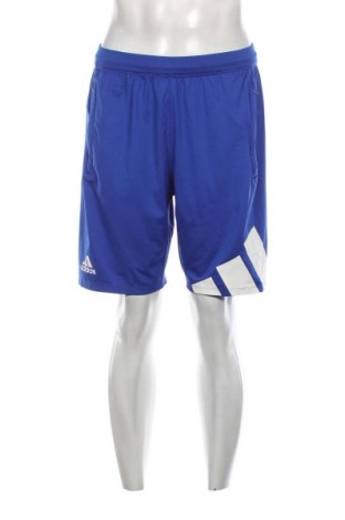 Herren Shorts Adidas, Größe M, Farbe Blau, Preis 10,02 €