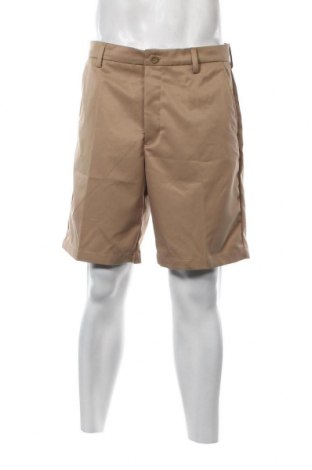 Herren Shorts Amazon Essentials, Größe L, Farbe Beige, Preis 10,10 €