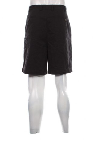Herren Shorts Amazon Essentials, Größe XL, Farbe Blau, Preis 10,10 €