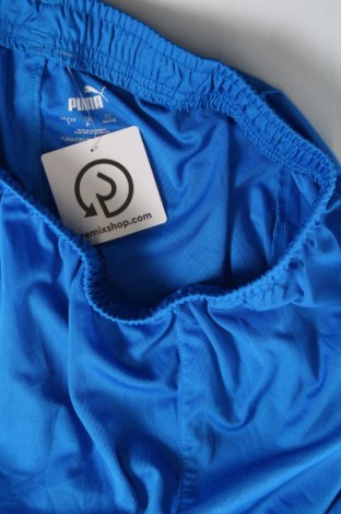 Ανδρικό κοντό παντελόνι PUMA, Μέγεθος S, Χρώμα Μπλέ, Τιμή 8,91 €